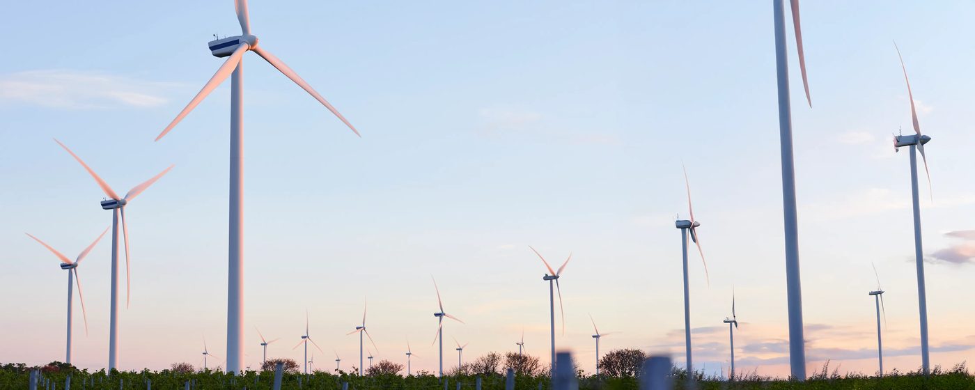 Windräder im Abendlicht
