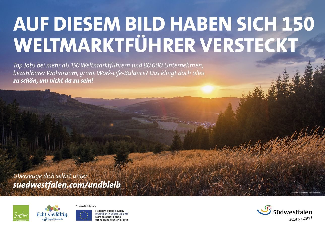 Kampagnenmotiv „Auf diesem Bild haben sich 150 Weltmarktführer versteckt“: Wald und Hügel im Abendlicht